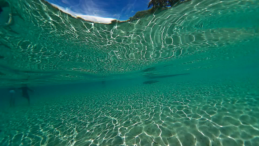 Underwater by Walter